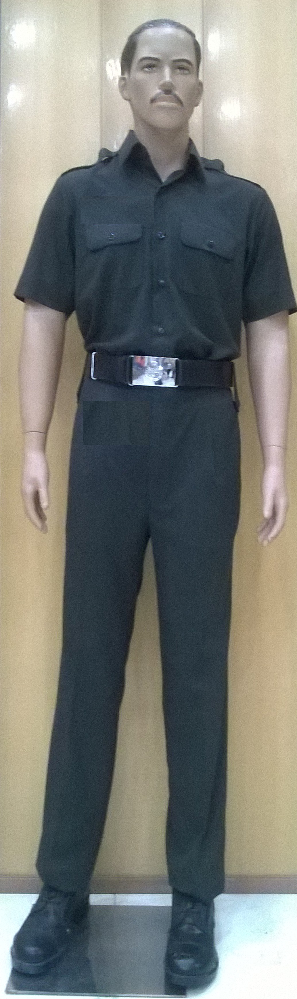 Shirt Plain Weave